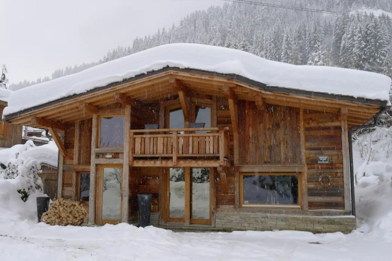 Alpine Chalet Villa Megeve