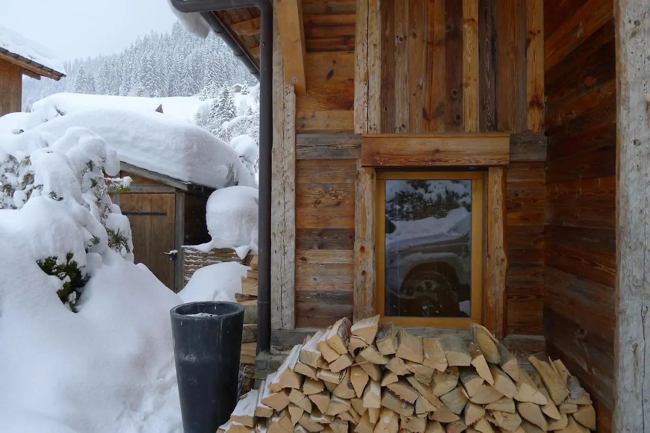 Alpine Chalet Villa Megeve France