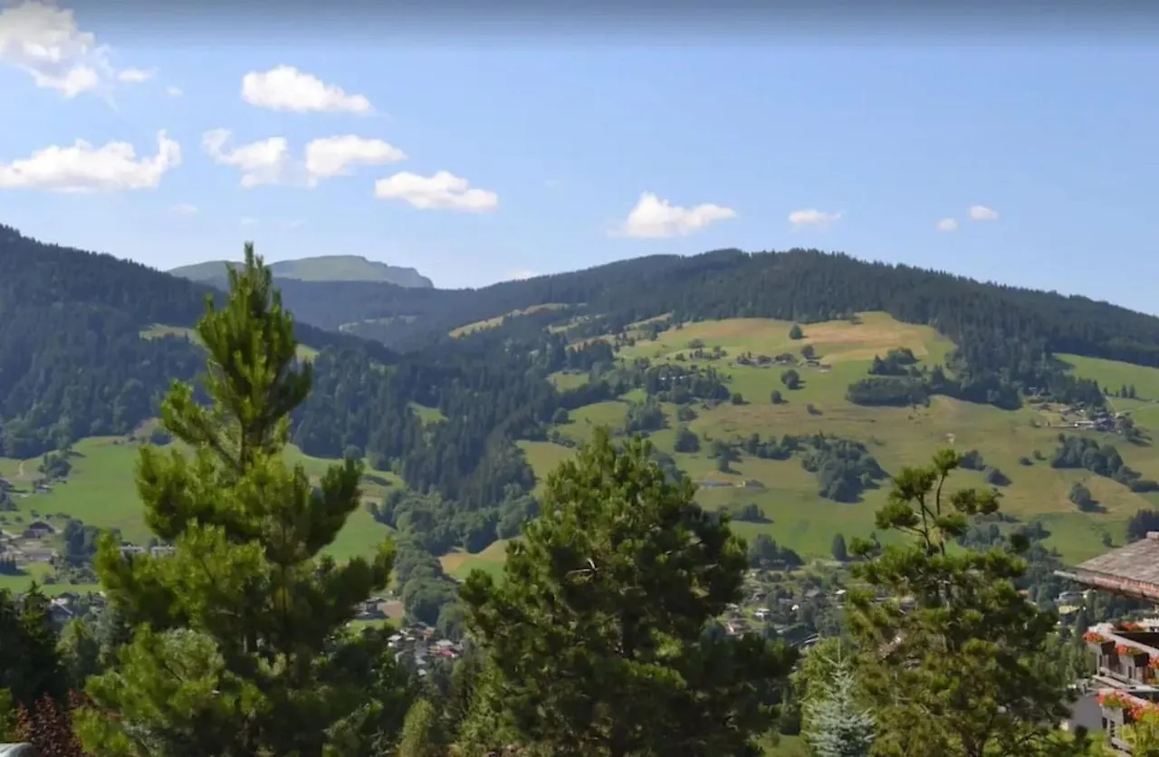 Alpine Chalet Villa Megeve