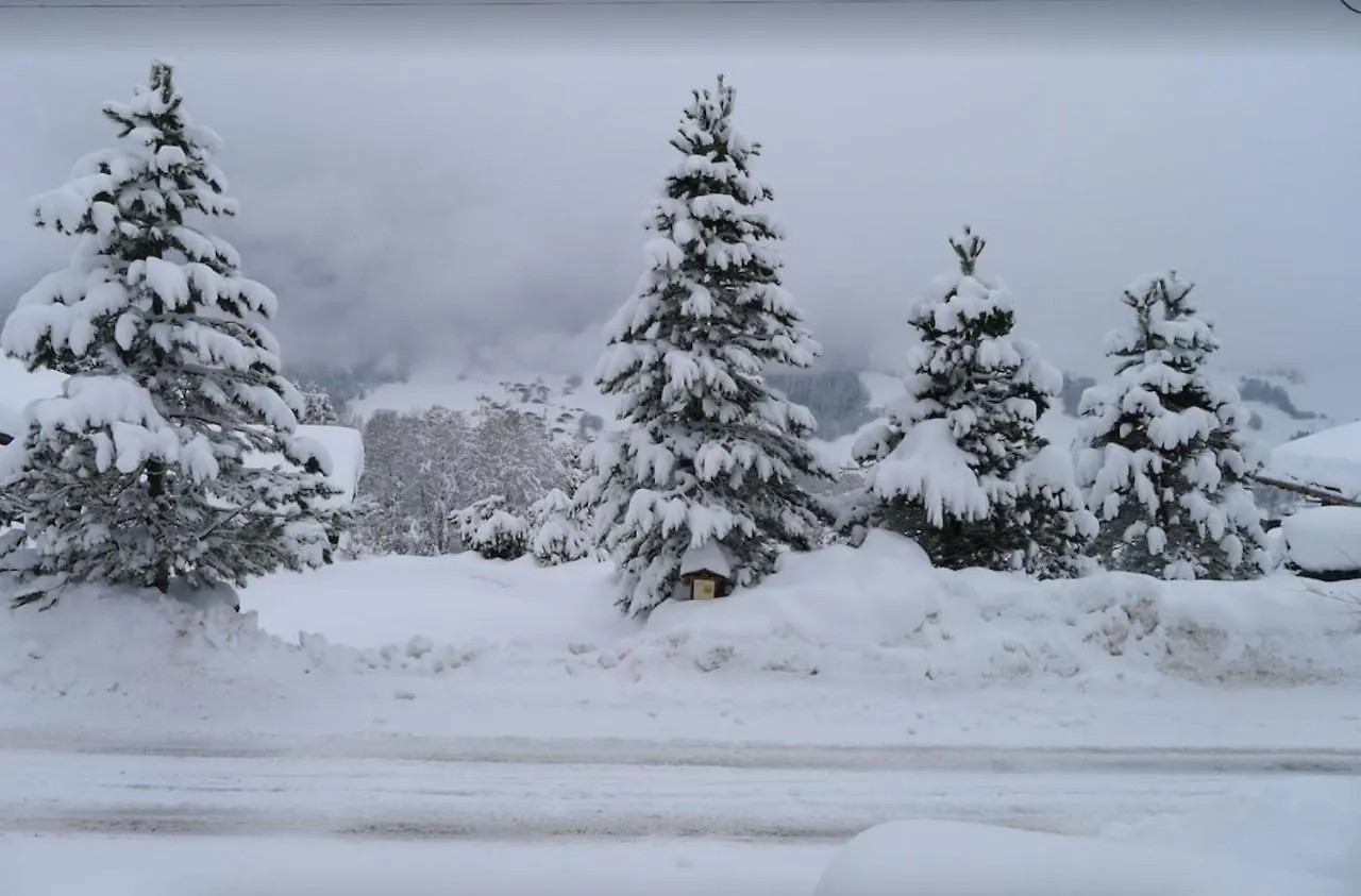 Alpine Chalet Villa Megeve